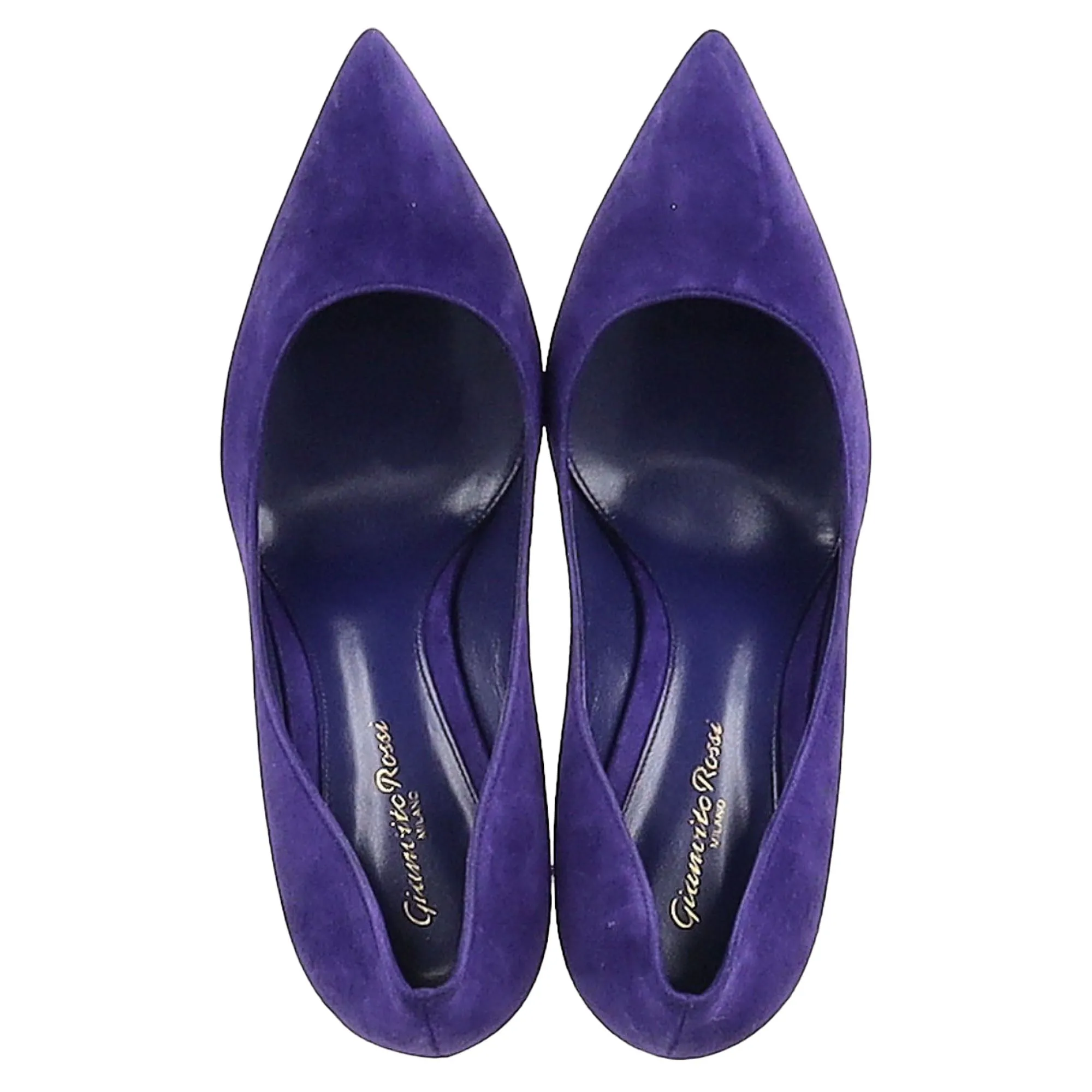 Gianvito Rossi Pointed Toe Pumps in Indigo Suede