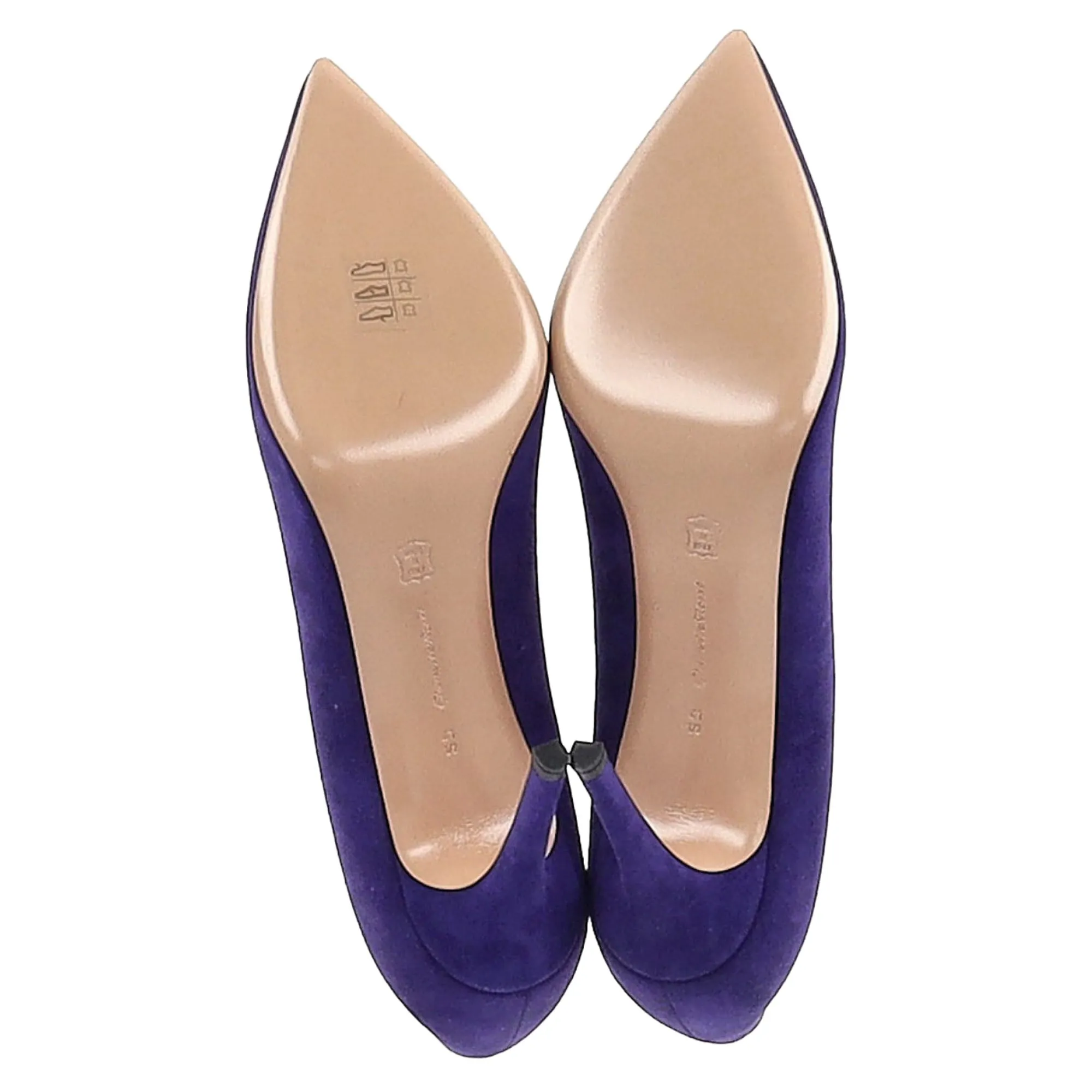 Gianvito Rossi Pointed Toe Pumps in Indigo Suede