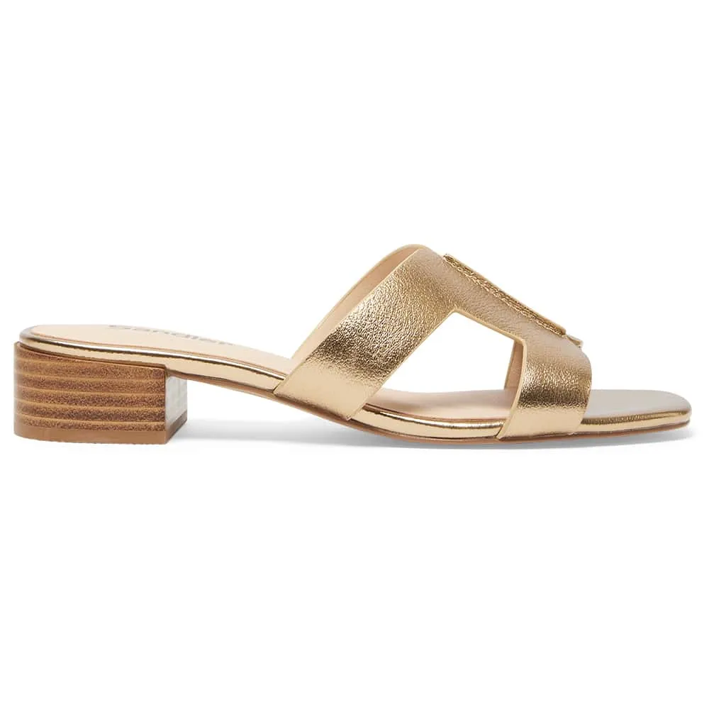 Kerry Heel in Bronze Leather