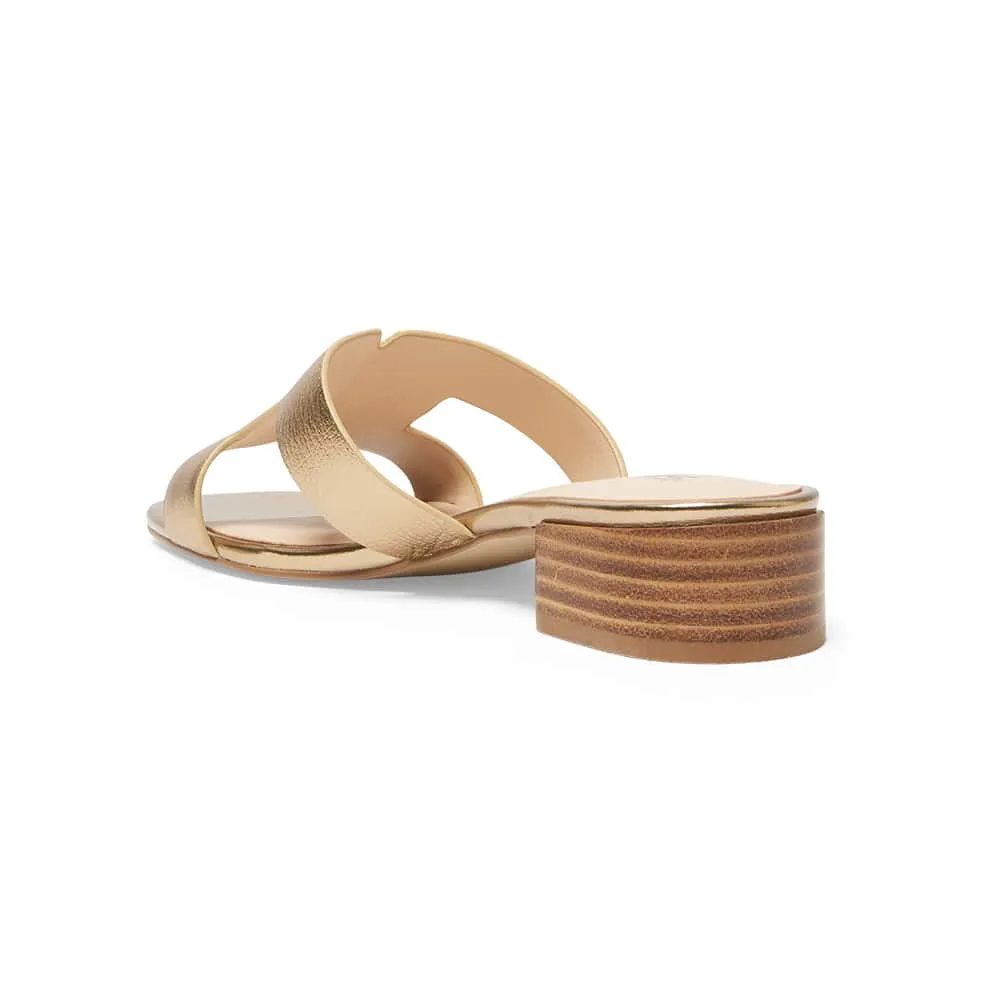 Kerry Heel in Bronze Leather