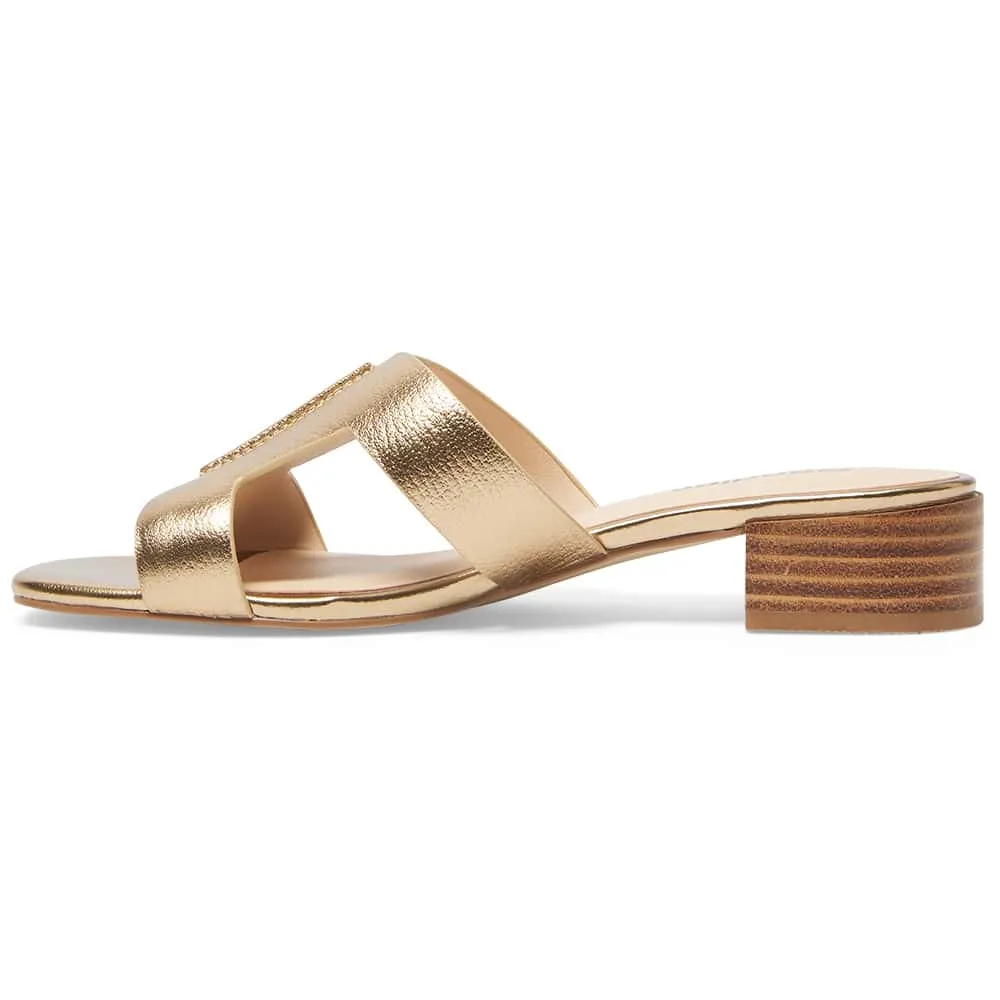 Kerry Heel in Bronze Leather