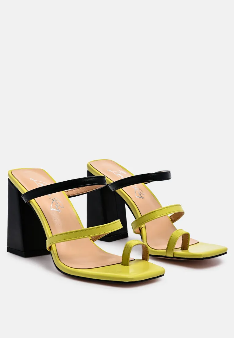 marve block heel thong sandals