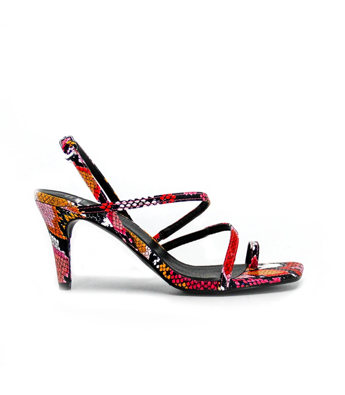 Minx Snake Multi *FINAL SALE*